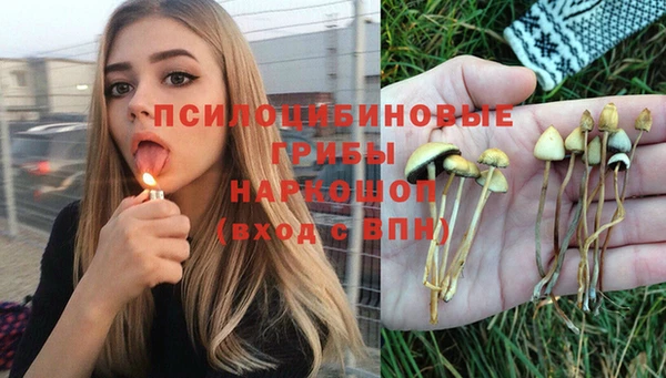 не бодяженный Богданович