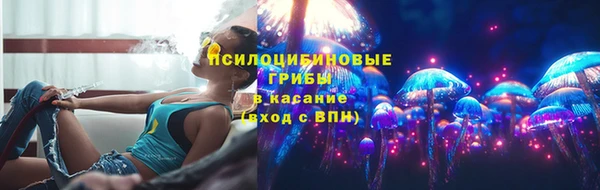 прущие крисы Беломорск