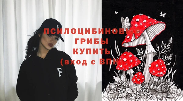 apvp Белокуриха