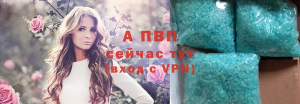 прущие крисы Беломорск