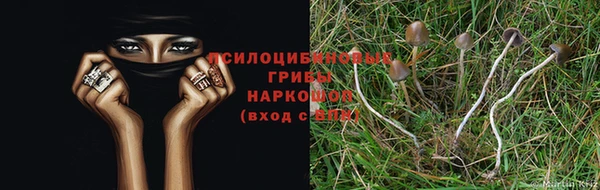 прущие крисы Беломорск