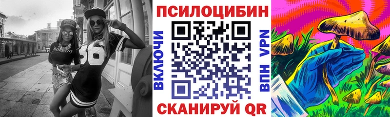 где продают   Калининец  Галлюциногенные грибы GOLDEN TEACHER 